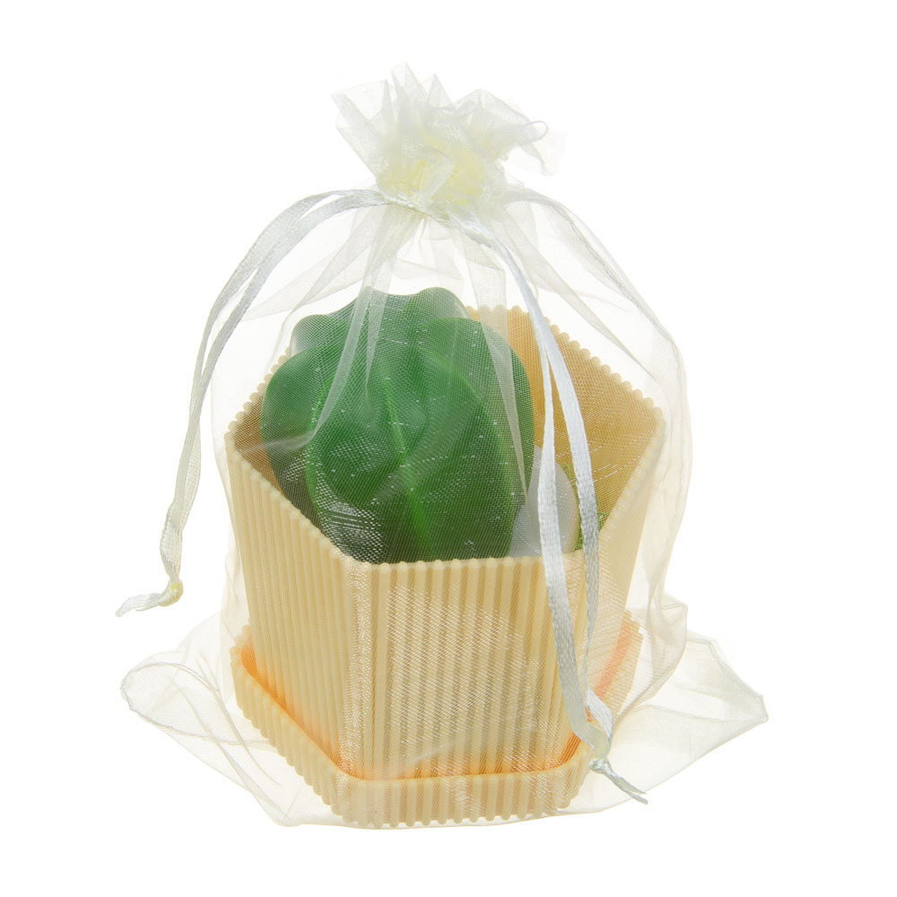 VETTA Щетка-кактус, полипропилен, пластик 8,5х10 см, арт.№ 445-037