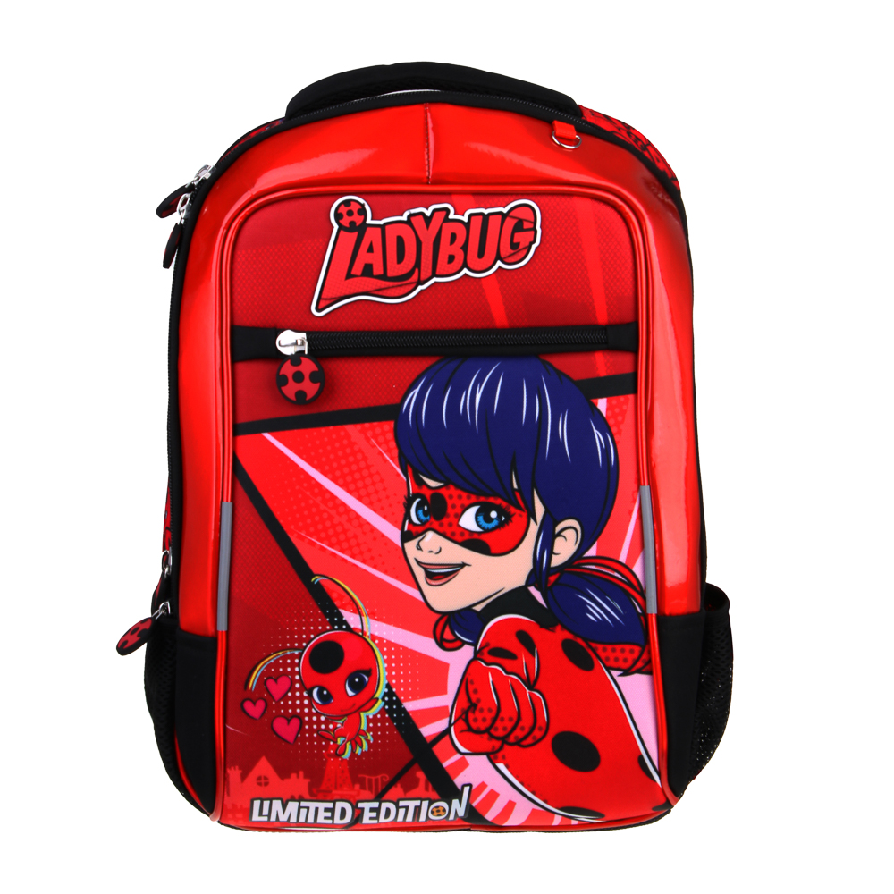 Ледибаг Рюкзак шк.жесткий, 39х30х15см, 2 отд., 3 карм., эргон.спинка, ручка, вес около 900гр, "Кор", арт.№ 811-001