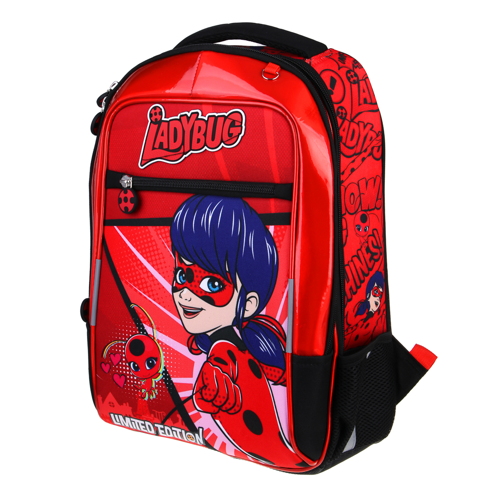 Ледибаг Рюкзак шк.жесткий, 39х30х15см, 2 отд., 3 карм., эргон.спинка, ручка, вес около 900гр, "Кор", арт.№ 811-001