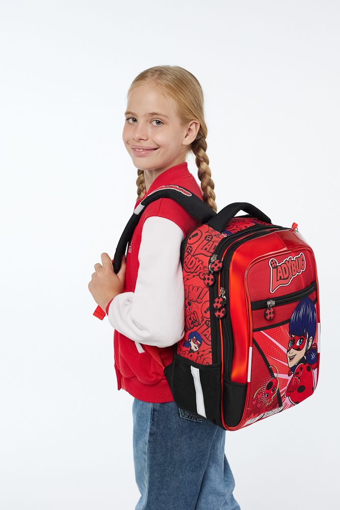 Ледибаг Рюкзак шк.жесткий, 39х30х15см, 2 отд., 3 карм., эргон.спинка, ручка, вес около 900гр, "Кор", арт.№ 811-001