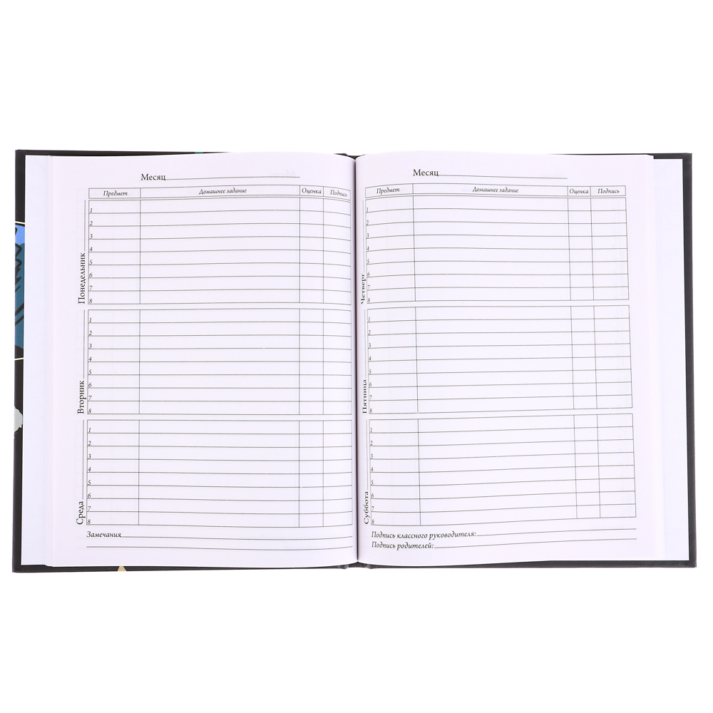 Древний Мир Дневник школьный, твердая обложка 7БЦ, выборочный лак, 48 листов, арт.№ 564-060