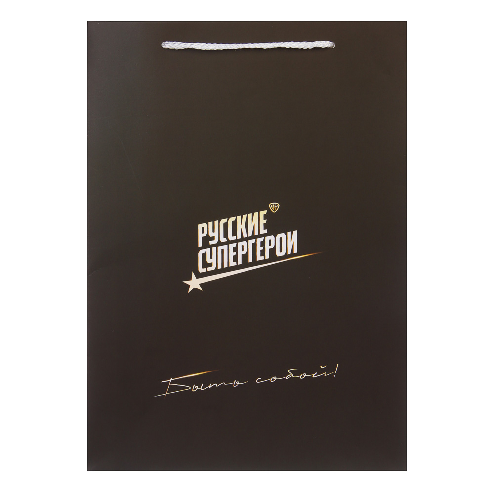 Пакет подарочный бумажный тм BY Русские Супергерои, 25x35x9 см, 16 +, арт.№ 507-521