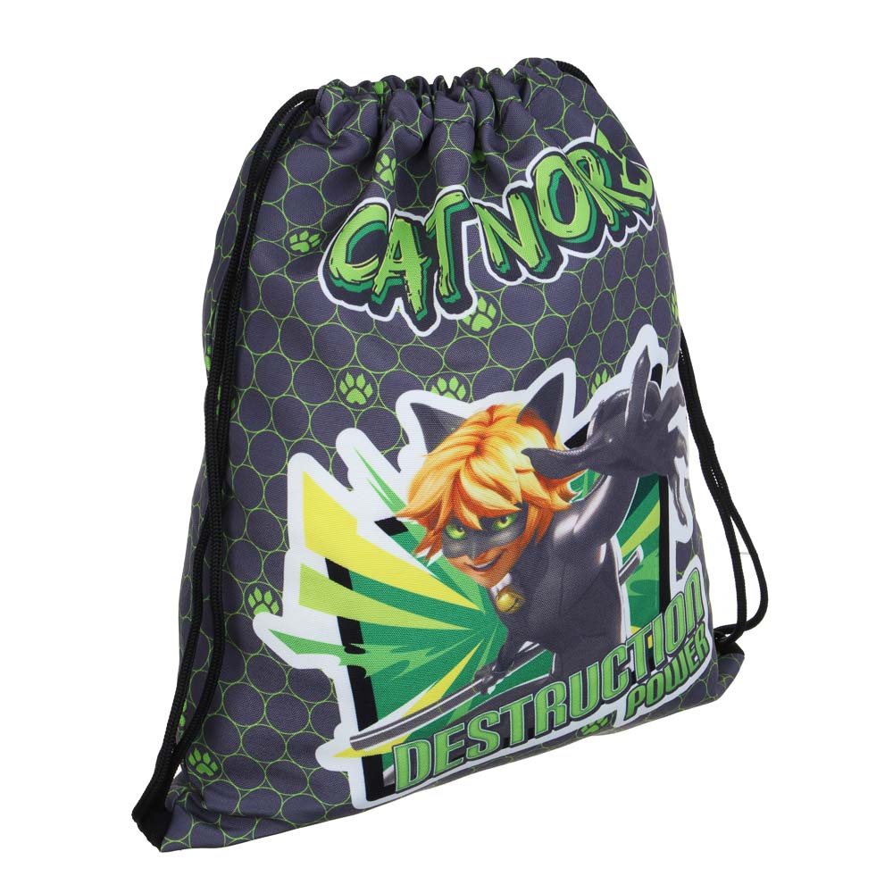 Супер-Кот Мешок для обуви ПРЕМИУМ, 47х39см, плотный материал, 2-стор.печать, толстая веревка, "Кор", арт.№ 811-009