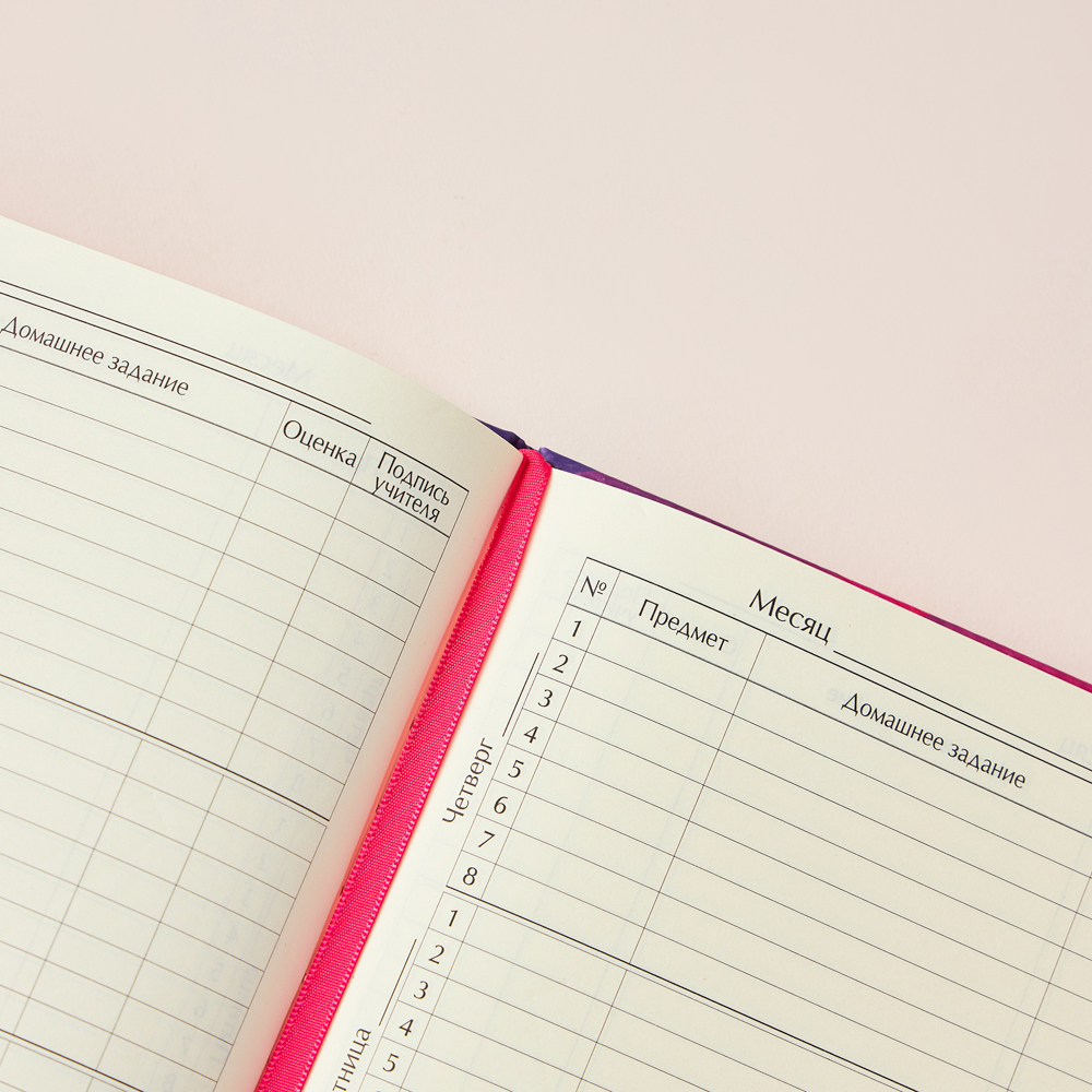 BY Русские Супергерои Дневник шк., А5+ (20,8x16,5см), 48л., тв.обл.с пор., иск.к., "Василиса джуниор, арт.№ 564-078