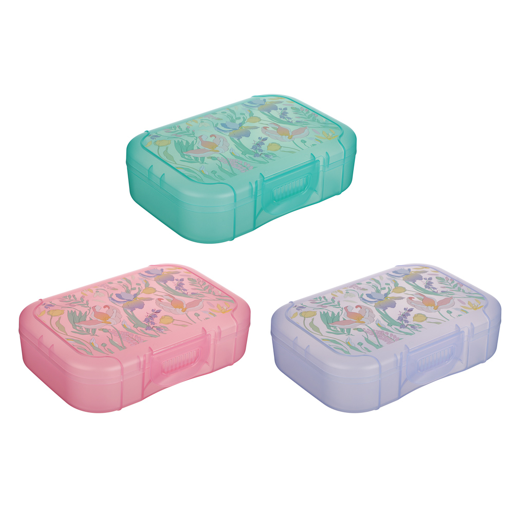 Ботаника Ланч-бокс 0,85л (18х12,5х5,5см), пластик, в ассортименте, арт.№ 861-564