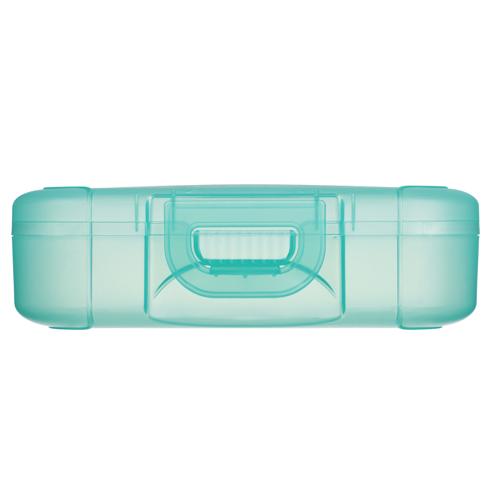 Ботаника Ланч-бокс 0,85л (18х12,5х5,5см), пластик, в ассортименте, арт.№ 861-564