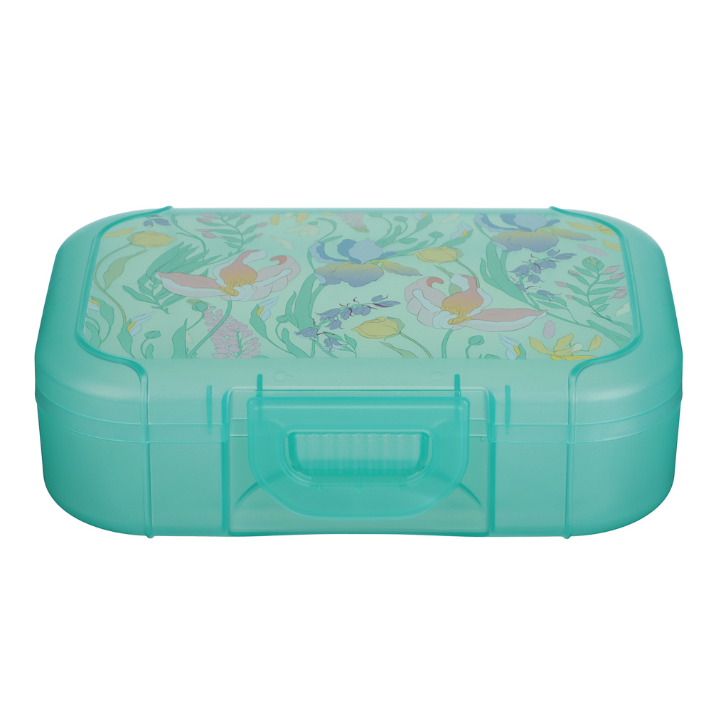 Ботаника Ланч-бокс 0,85л (18х12,5х5,5см), пластик, в ассортименте, арт.№ 861-564