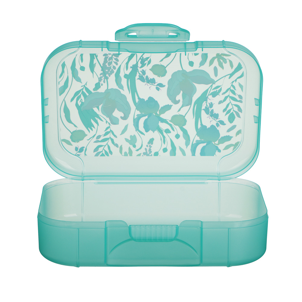 Ботаника Ланч-бокс 0,85л (18х12,5х5,5см), пластик, в ассортименте, арт.№ 861-564