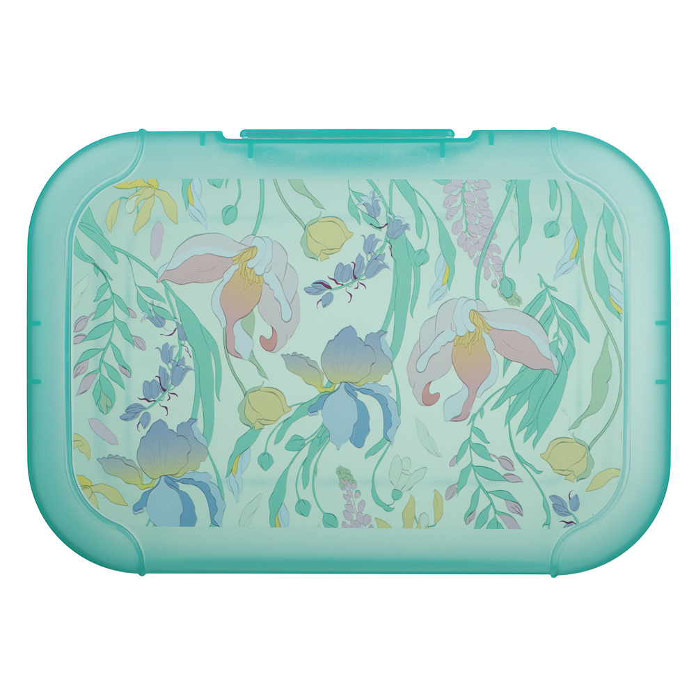 Ботаника Ланч-бокс 0,85л (18х12,5х5,5см), пластик, в ассортименте, арт.№ 861-564