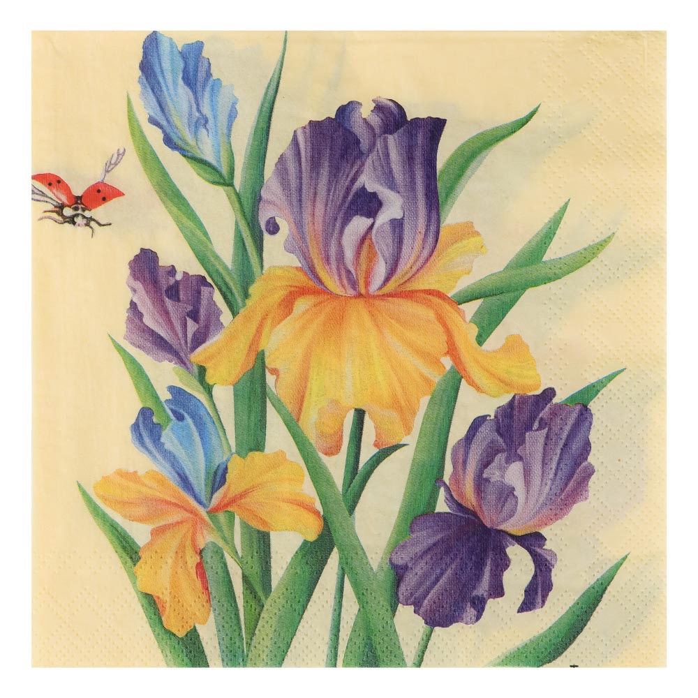 Салфетки бумажные 10шт, двухслойные, 33x33см, арт.№ 437-269