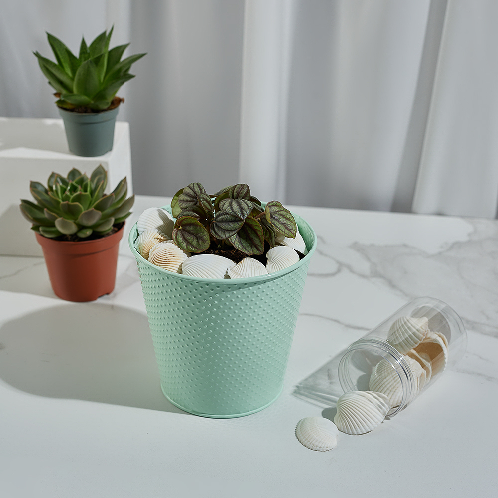 INBLOOM Декор для кашпо Ракушки, 10х6см, белые, 150г (±10г), арт.№ 173-005