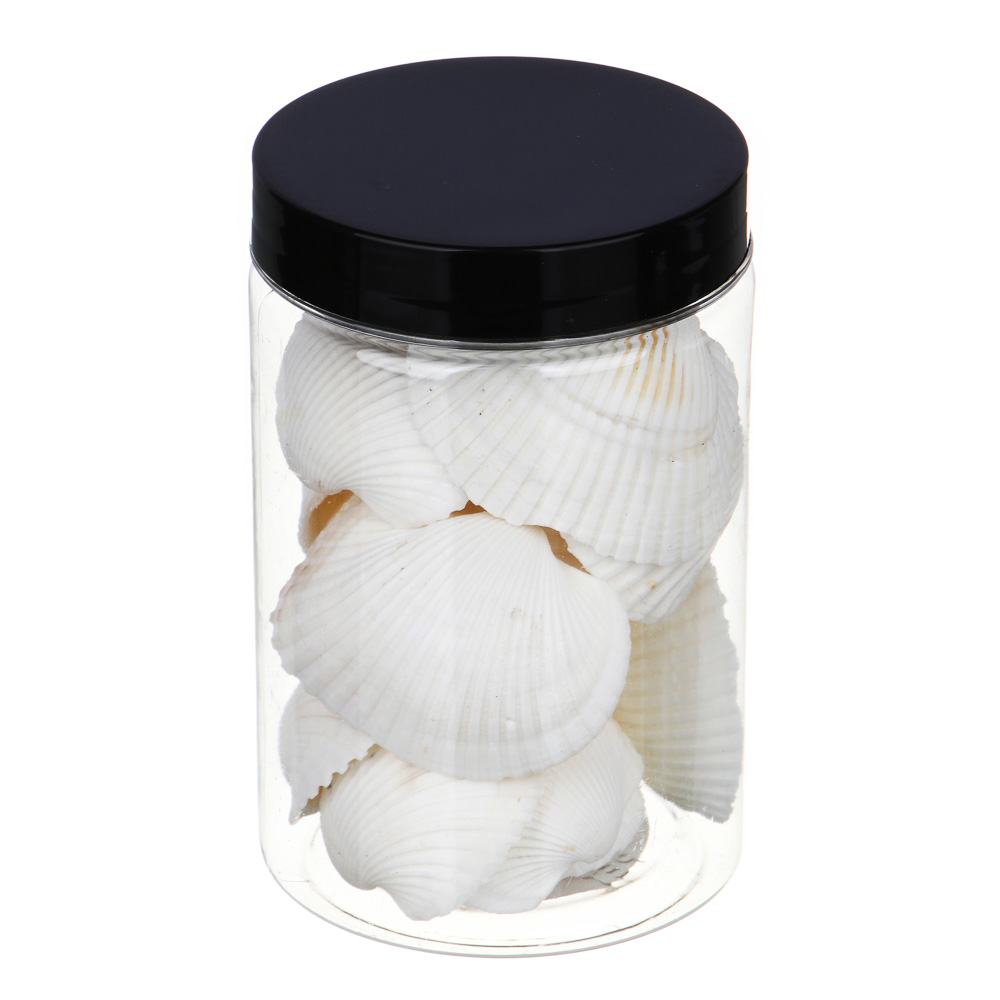 INBLOOM Декор для кашпо Ракушки, 10х6см, белые, 150г (±10г), арт.№ 173-005