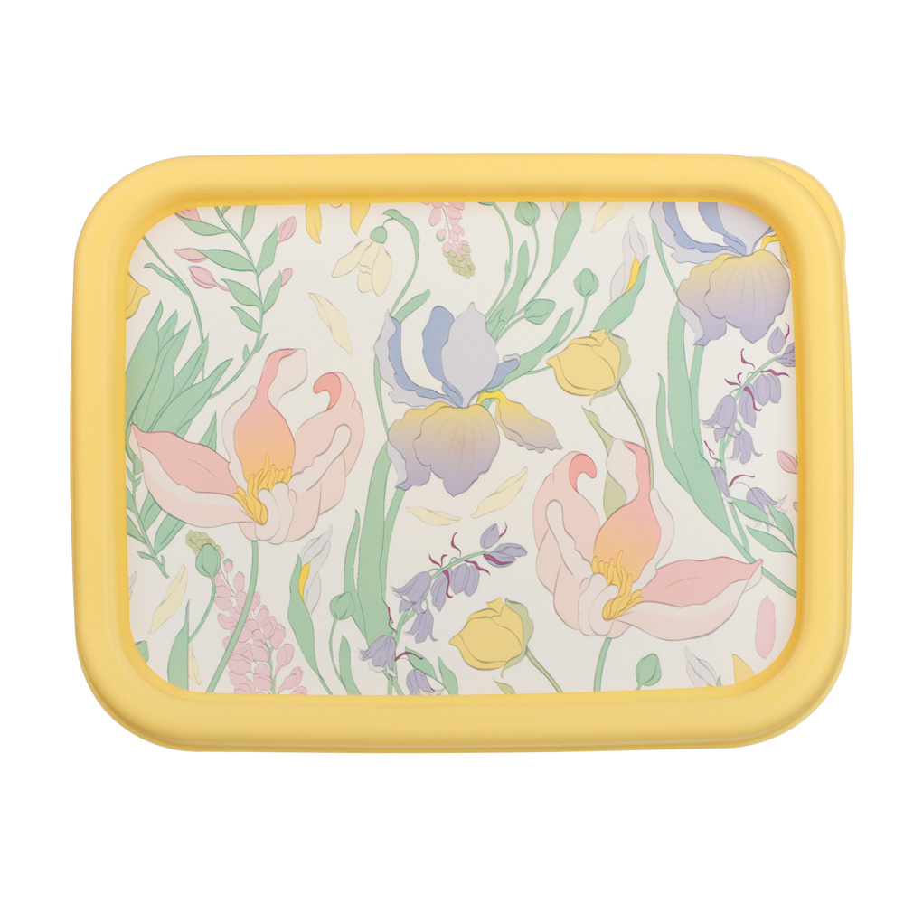 Ботаника Контейнер для продуктов прямоугольный 0,5л, пластик, 3 цвета, арт.№ 861-567