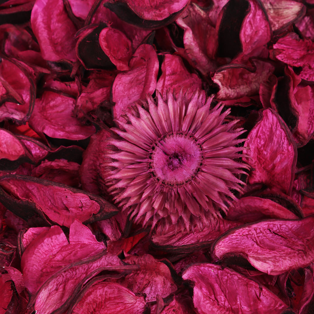 NEW GALAXY Ароматизатор Попурри, ваниль, магический сад, очарование розы, арт.№ 778-302