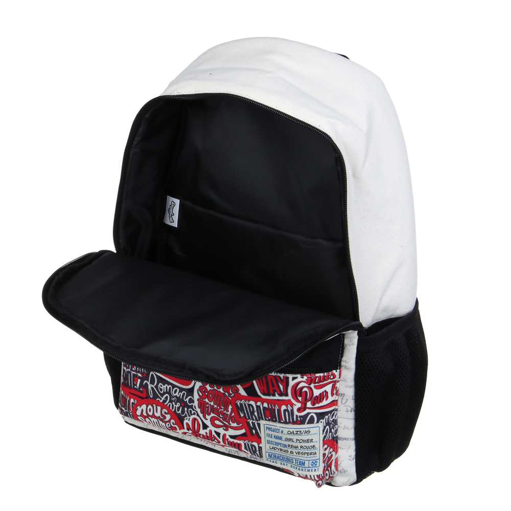 Ледибаг Рюкзак подростковый 40х30х15см, 1 отд., 3 карм., уплотненные лямки, "Скетч", арт.№ 811-024