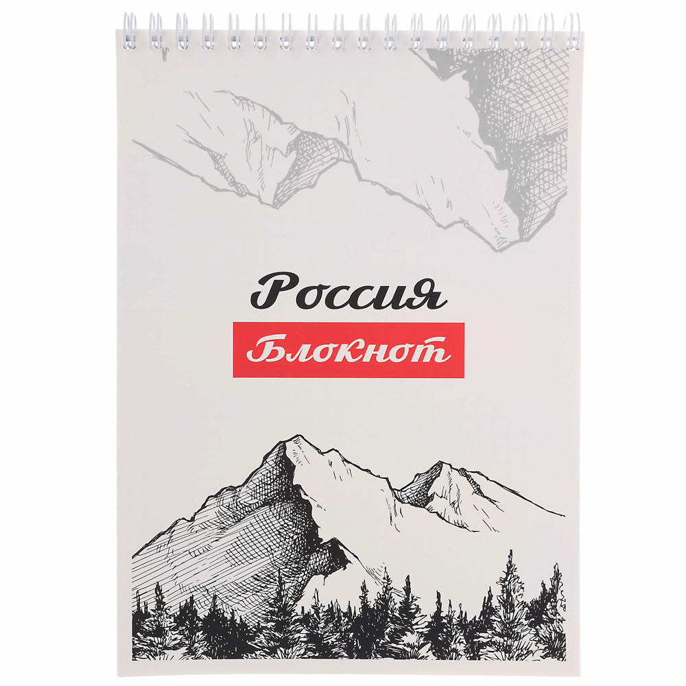 Блокнот А5, 40 листов в клетку ClipStudio, офсет, обложка картон, спираль,  8 дизайнов, арт.№ 540-017