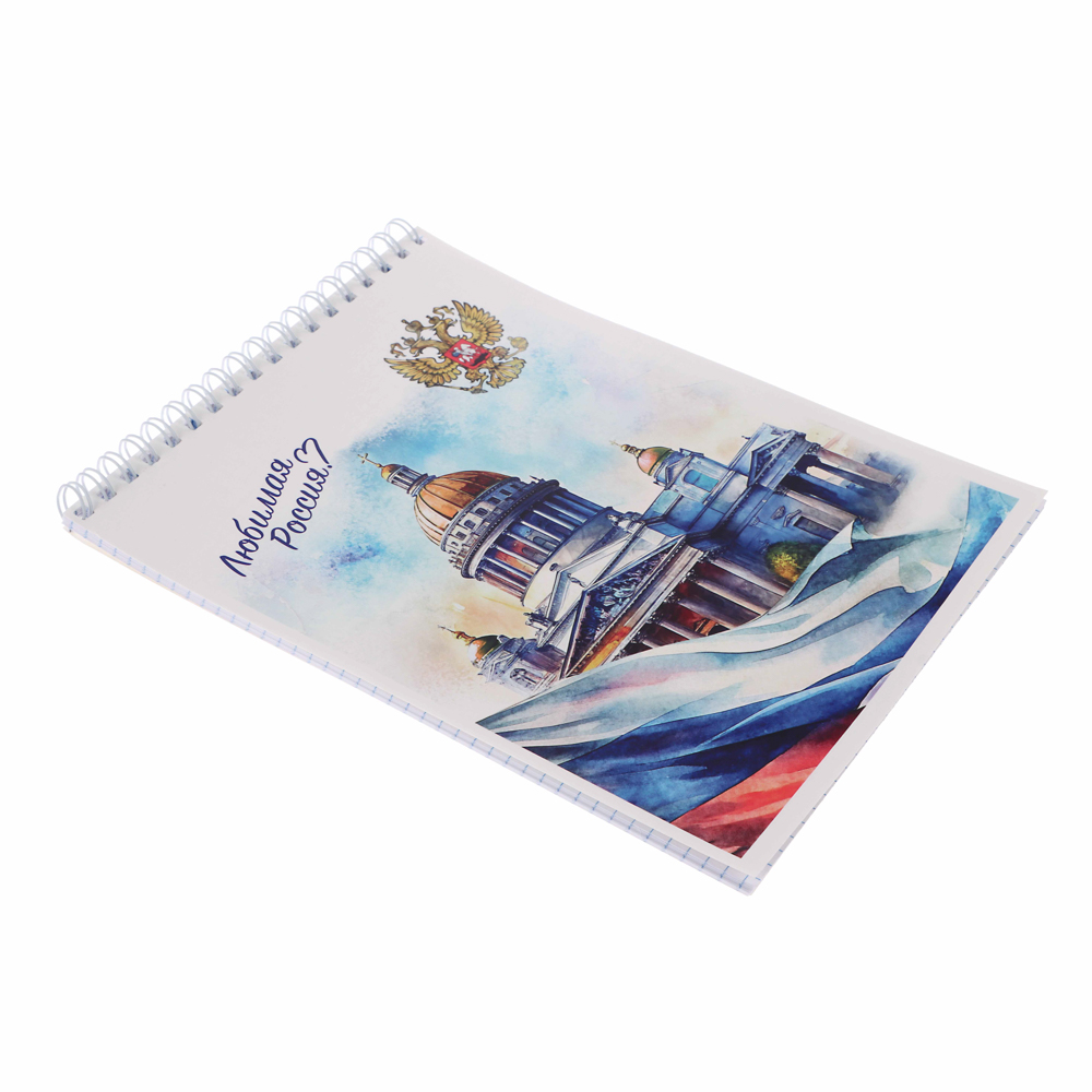 Блокнот А5, 40 листов в клетку ClipStudio, офсет, обложка картон, спираль,  8 дизайнов, арт.№ 540-017