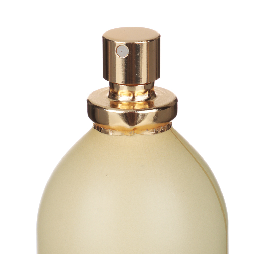 NEW GALAXY Парфюмерная вода женская Perfume Million, 100 мл, арт.№ 313-328