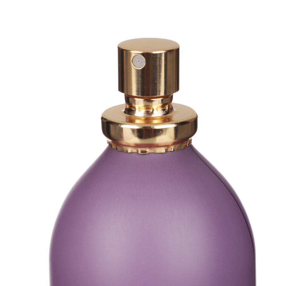 NEW GALAXY Парфюмерная вода женская Perfume Eclat, 100 мл, арт.№ 313-329