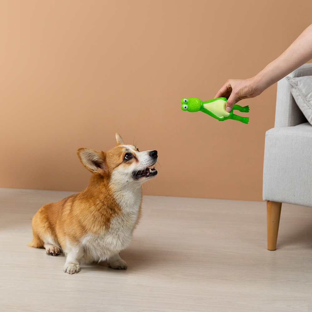 VETTA Игрушка для домашних животных, ПВХ, 23х6,5 см, лягушка, арт.№ 273-054