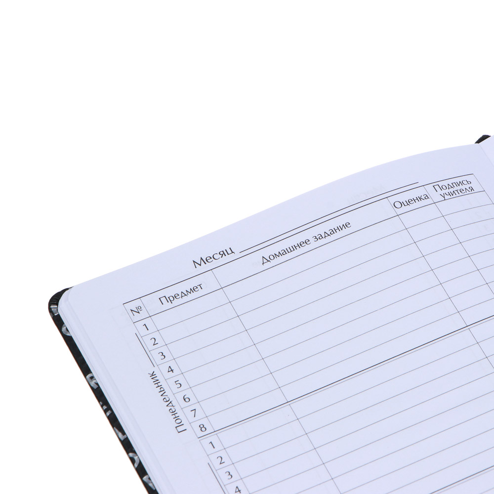 Дневник школьный 48 листов формат А5+ BY "Будь собой", 20,8х16,5 см, твердая обложка с поролоном, искусственная кожа, тиснение, закладка, арт.№ 564-055