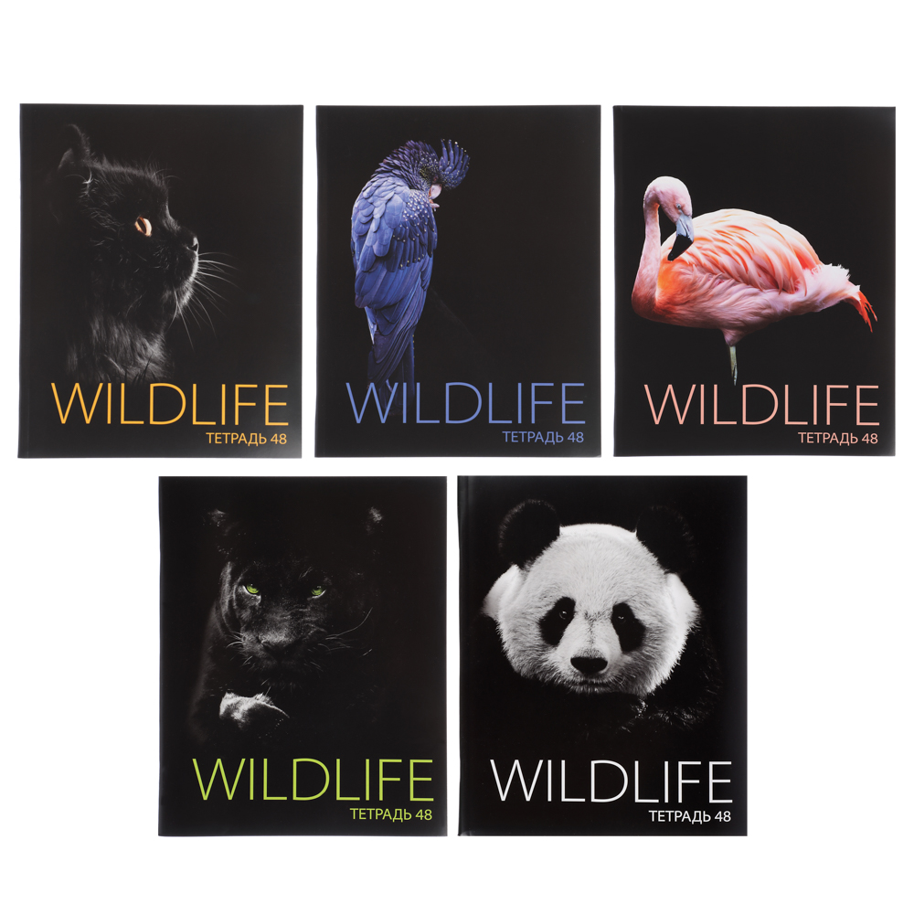 ClipStudio Тетрадь 48 листов в клетку, офсет, обложка мелованный картон, скрепка, "Звери на черном", ВД-лак, 5 дизайнов, арт.№ 578-154