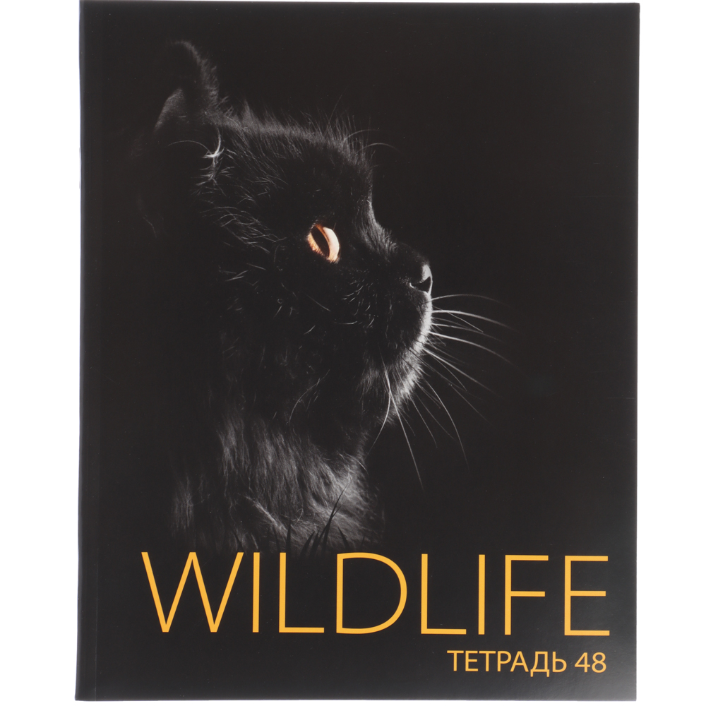 ClipStudio Тетрадь 48 листов в клетку, офсет, обложка мелованный картон, скрепка, "Звери на черном", ВД-лак, 5 дизайнов, арт.№ 578-154