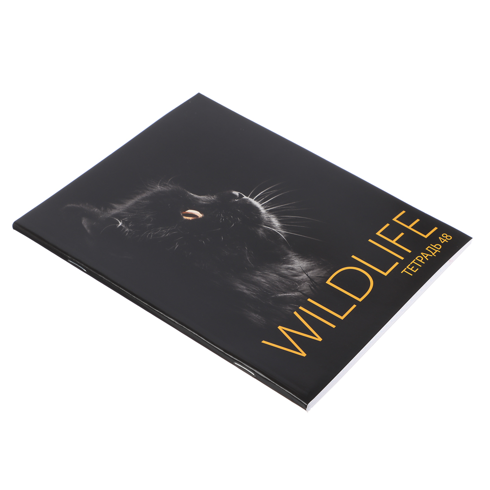 ClipStudio Тетрадь 48 листов в клетку, офсет, обложка мелованный картон, скрепка, "Звери на черном", ВД-лак, 5 дизайнов, арт.№ 578-154