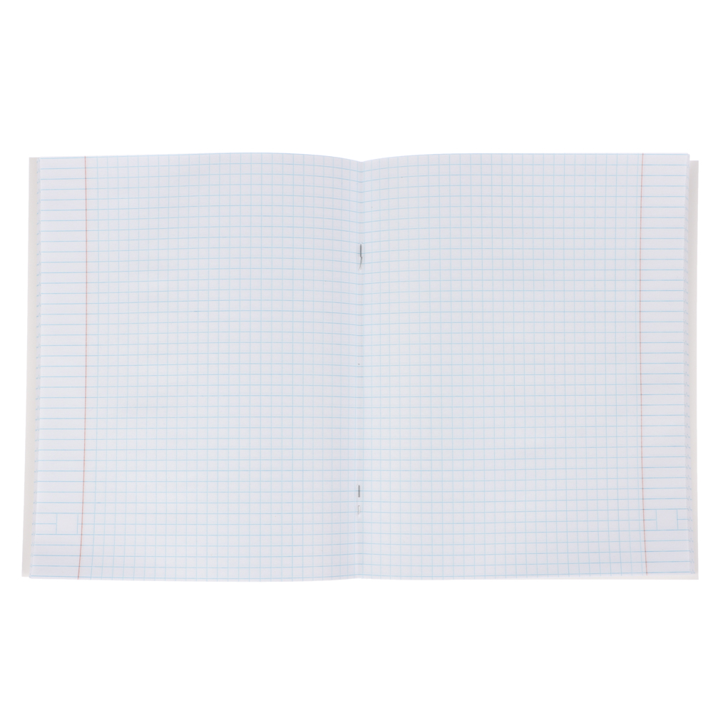 ClipStudio Тетрадь 48 листов в клетку, офсет, обложка мелованный картон, скрепка, "Звери на черном", ВД-лак, 5 дизайнов, арт.№ 578-154