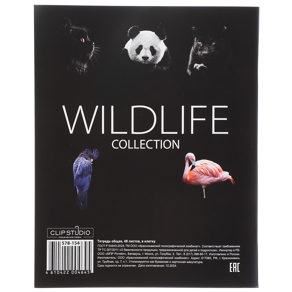 ClipStudio Тетрадь 48 листов в клетку, офсет, обложка мелованный картон, скрепка, "Звери на черном", ВД-лак, 5 дизайнов, арт.№ 578-154