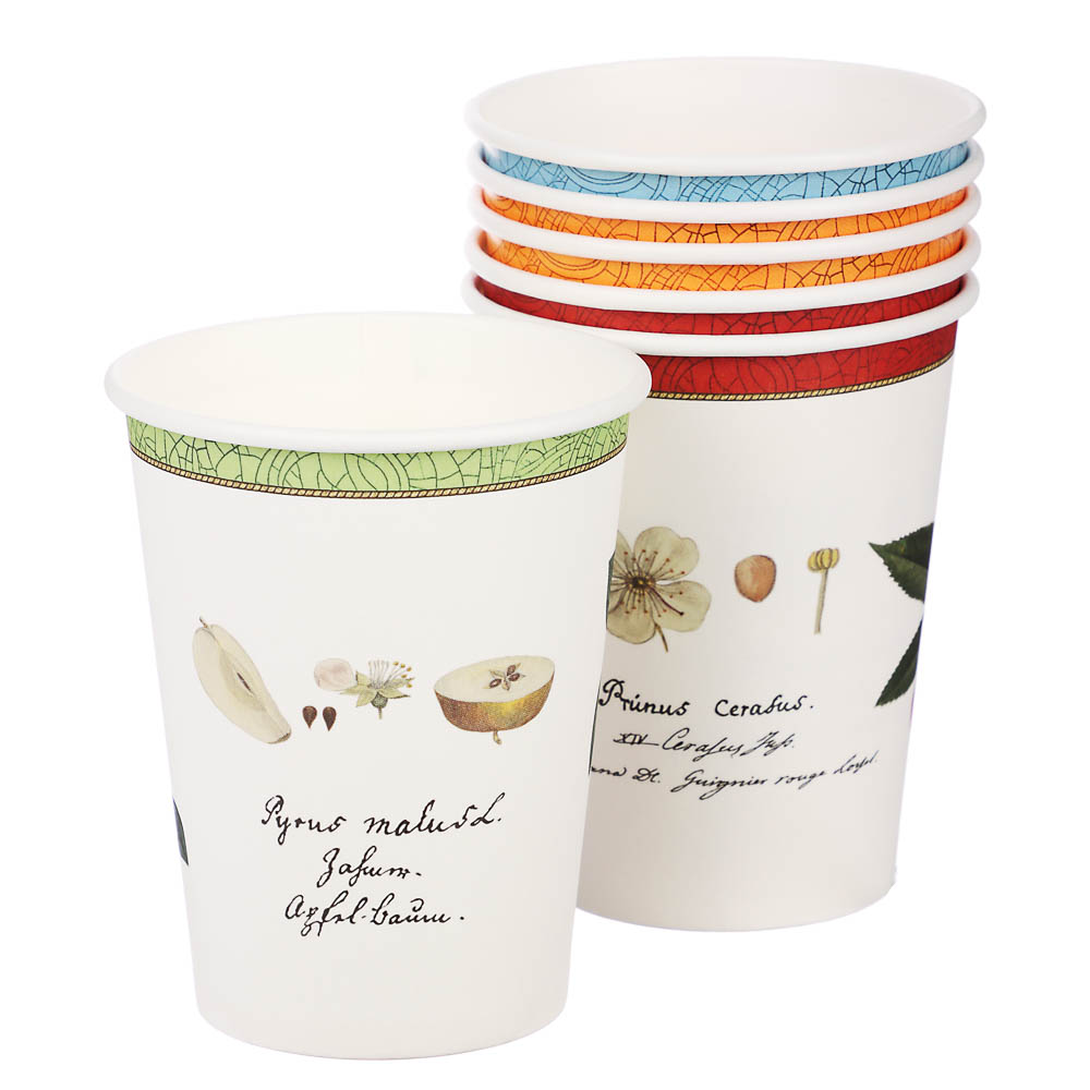 Набор бумажных одноразовых стаканов 6 шт, 250 мл, диз. 1, арт.№ 530-401