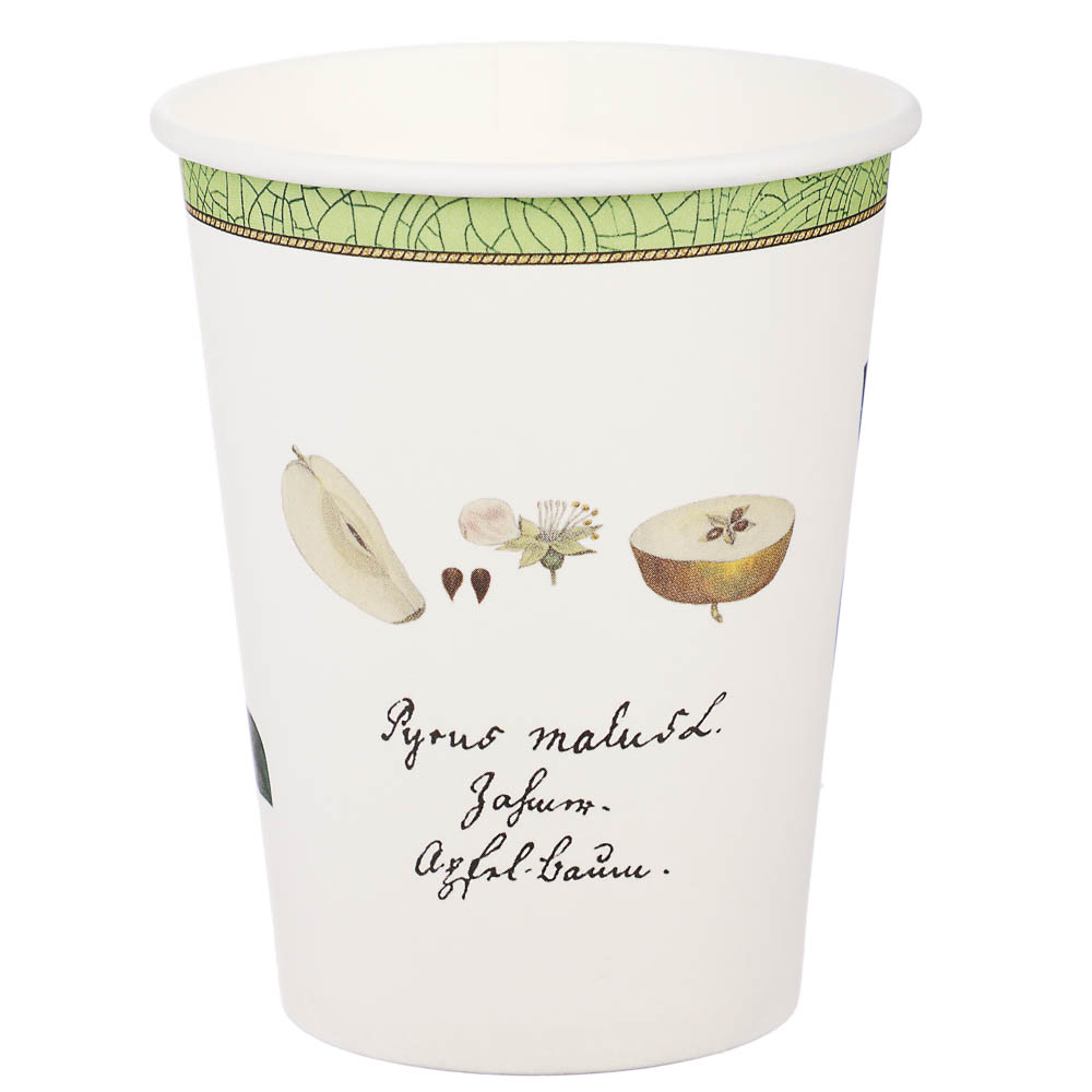 Набор бумажных одноразовых стаканов 6 шт, 250 мл, диз. 1, арт.№ 530-401