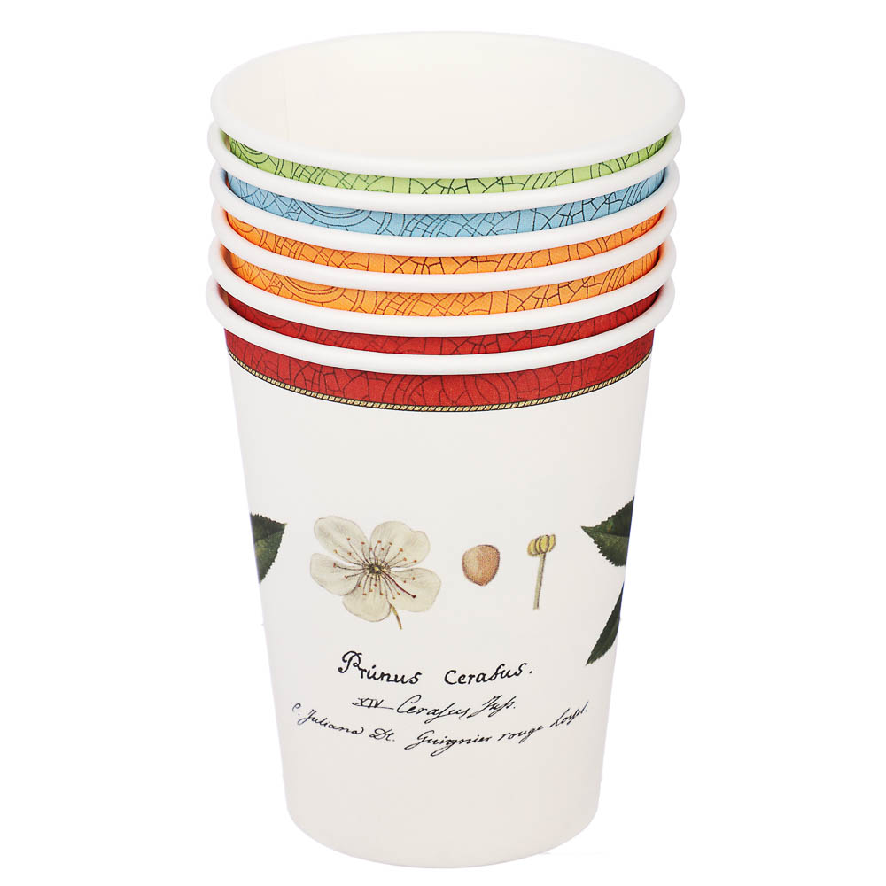 Набор бумажных одноразовых стаканов 6 шт, 250 мл, диз. 1, арт.№ 530-401