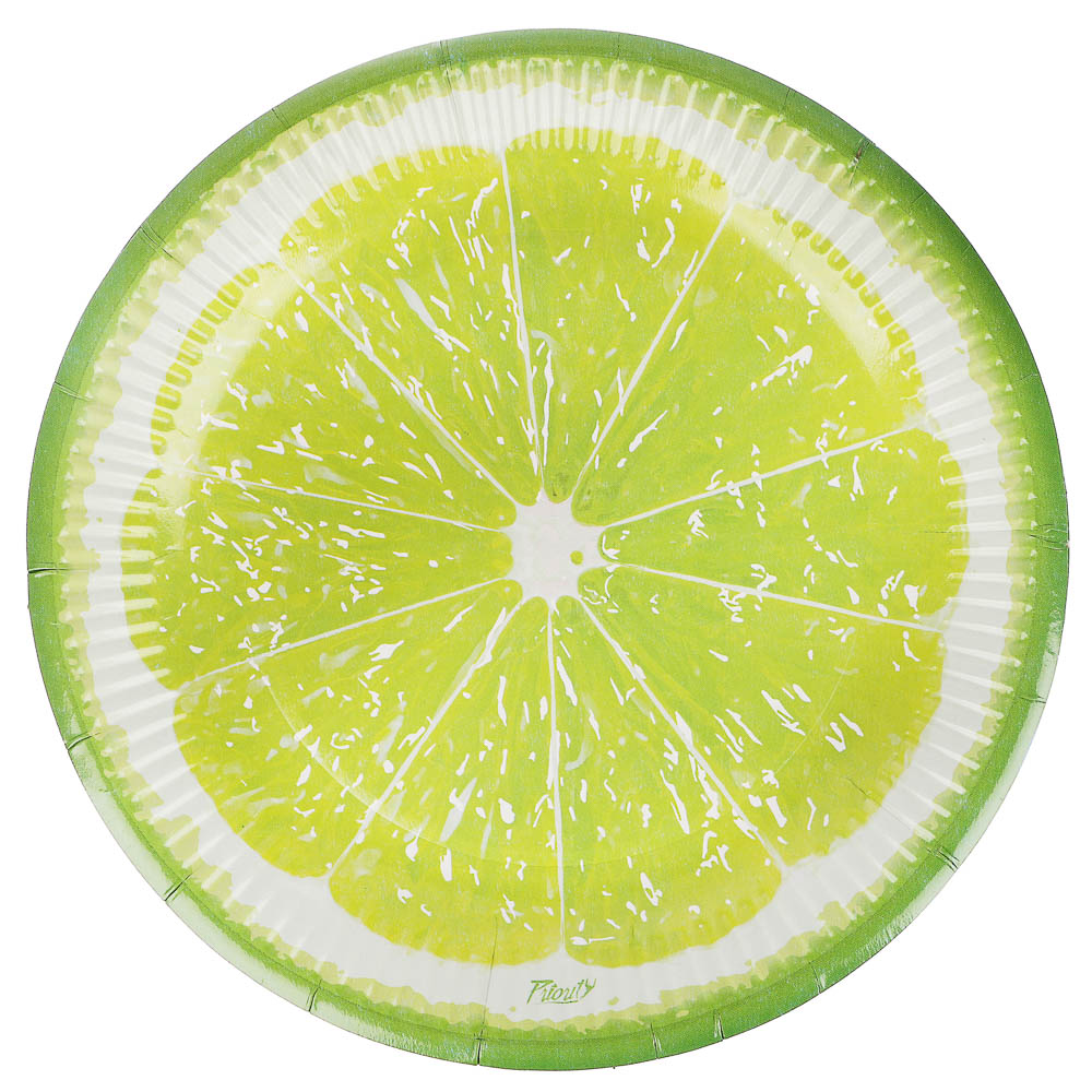 Набор бумажных одноразовых тарелок 6 шт, 23 см, диз. 5, арт.№ 530-407