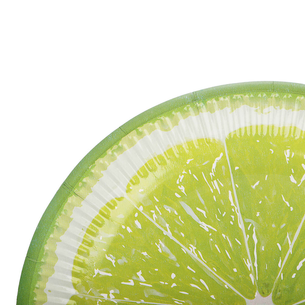 Набор бумажных одноразовых тарелок 6 шт, 23 см, диз. 5, арт.№ 530-407