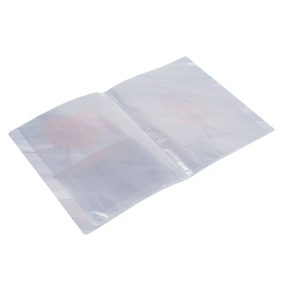 Папка с 20 пр.вкл. BY Русские Супергерои "Заря" 31х23,5см, д/А4, перед.карман, пластик 0,6мм, арт.№ 801-022