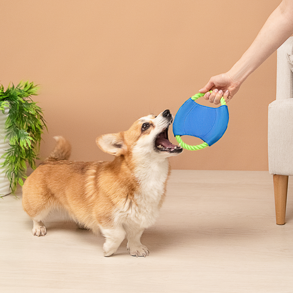 VETTA Игрушка для домашних животных, хлопок, ПЭ, 18 см, арт.№ 273-263