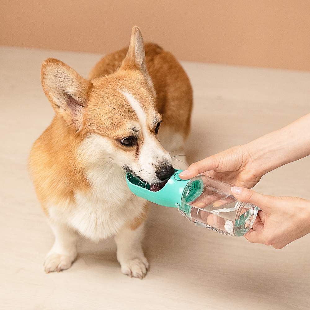 VETTA Поилка для домашних животных, пластмасса, 22х6,5 см, арт.№ 273-077