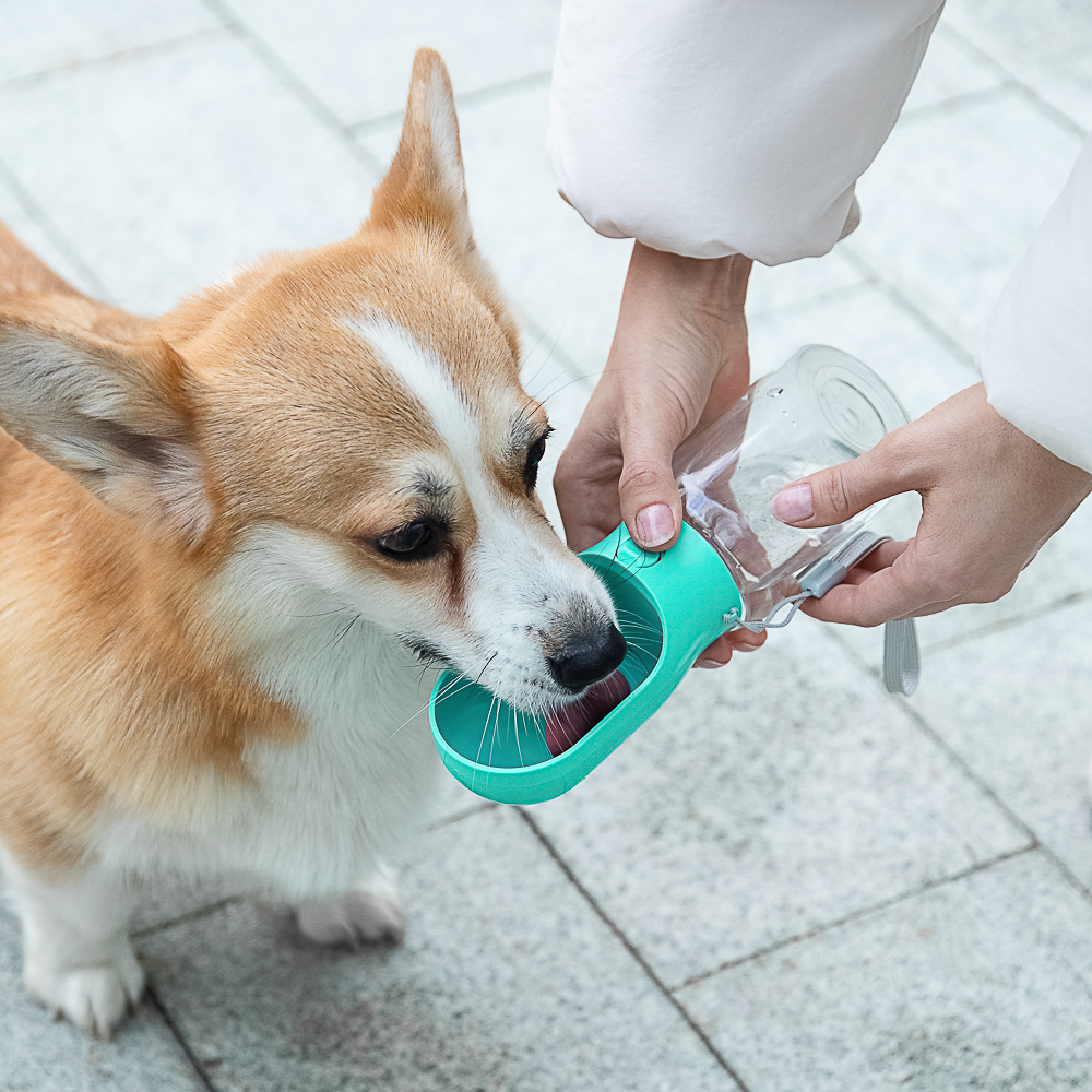 VETTA Поилка для домашних животных, пластмасса, 22х6,5 см, арт.№ 273-077