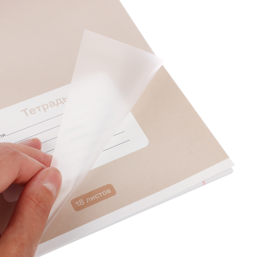 Тетрадь школьная 18 листов в линейку ClipStudio, БЕЛЫЕ ЛИСТЫ, скрепка, обл. пластик, арт.№ 579-034