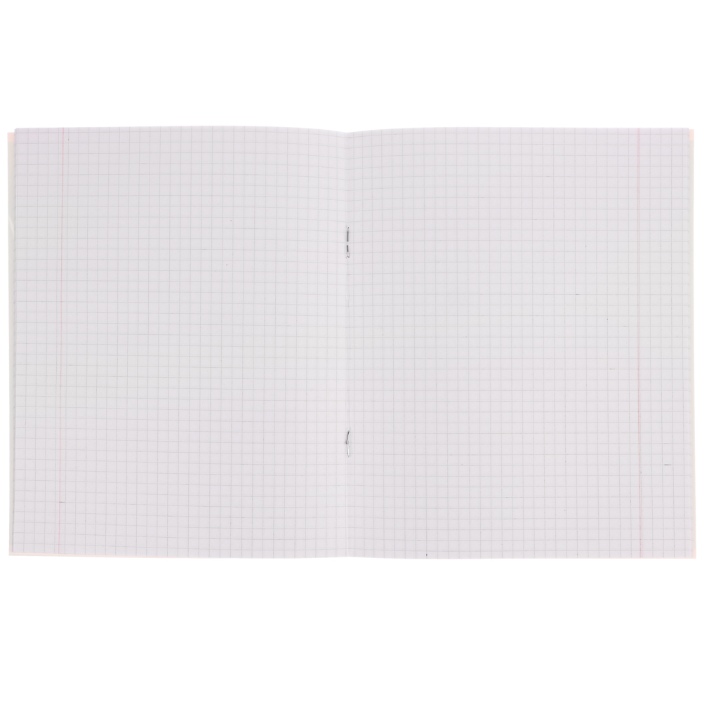 Тетрадь школьная 18л. в клетку, БЕЛЫЕ ЛИСТЫ, обл. картон 190г/м2, "Капибара" 4 диз., арт.№ 579-035