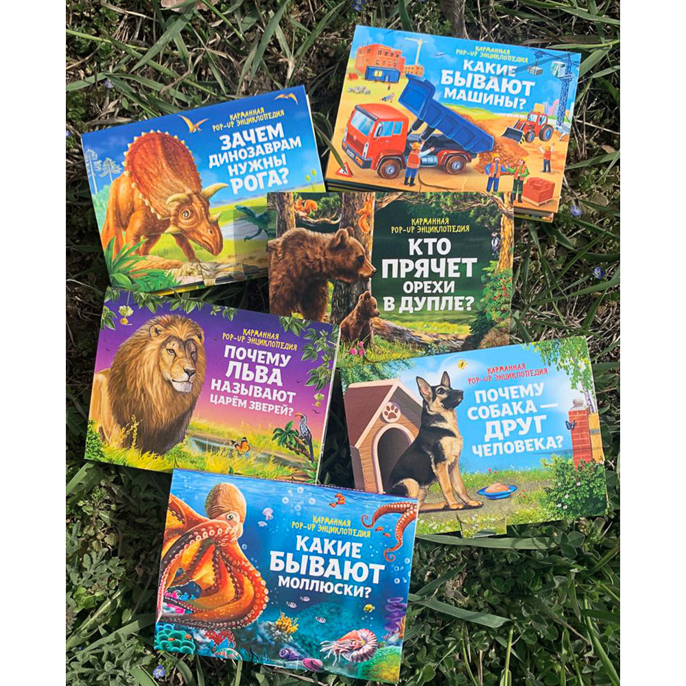 Набор 6 книг "Карманная POP-UP энциклопедия, 12х8,5х8,5 см, картон, 10 стр., 2 дизайна, арт.№ 857-171