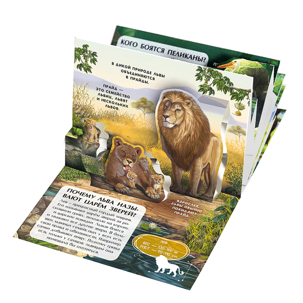Набор 6 книг "Карманная POP-UP энциклопедия, 12х8,5х8,5 см, картон, 10 стр., 2 дизайна, арт.№ 857-171