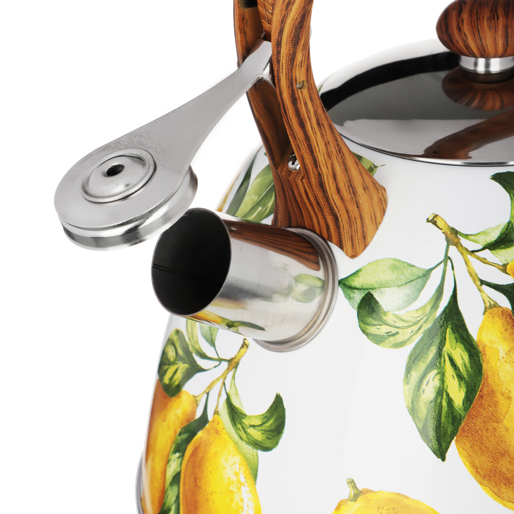 VETTA Чайник стальной 2,7л "Лимоны", индукция, арт.№ 847-106