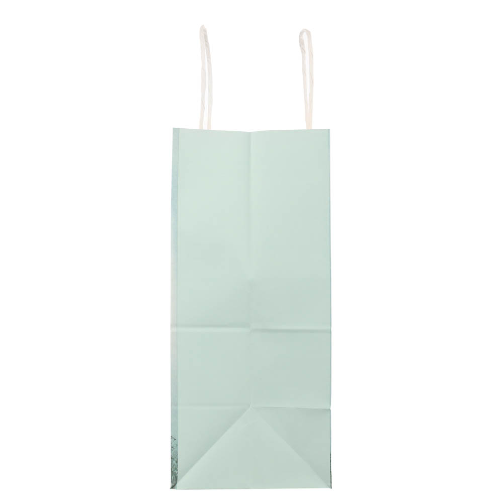 Пакет подарочный с кручеными ручками L 24х14х30см, "Ёжик в тумане", в ассортименте, арт.№ 507-491