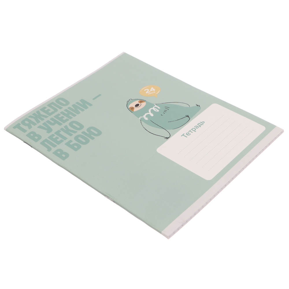 Тетрадь школьная 24л. в клетку, БЕЛЫЕ ЛИСТЫ, обл. плотный картон 190 гр ,скрепка, арт.№ 579-040