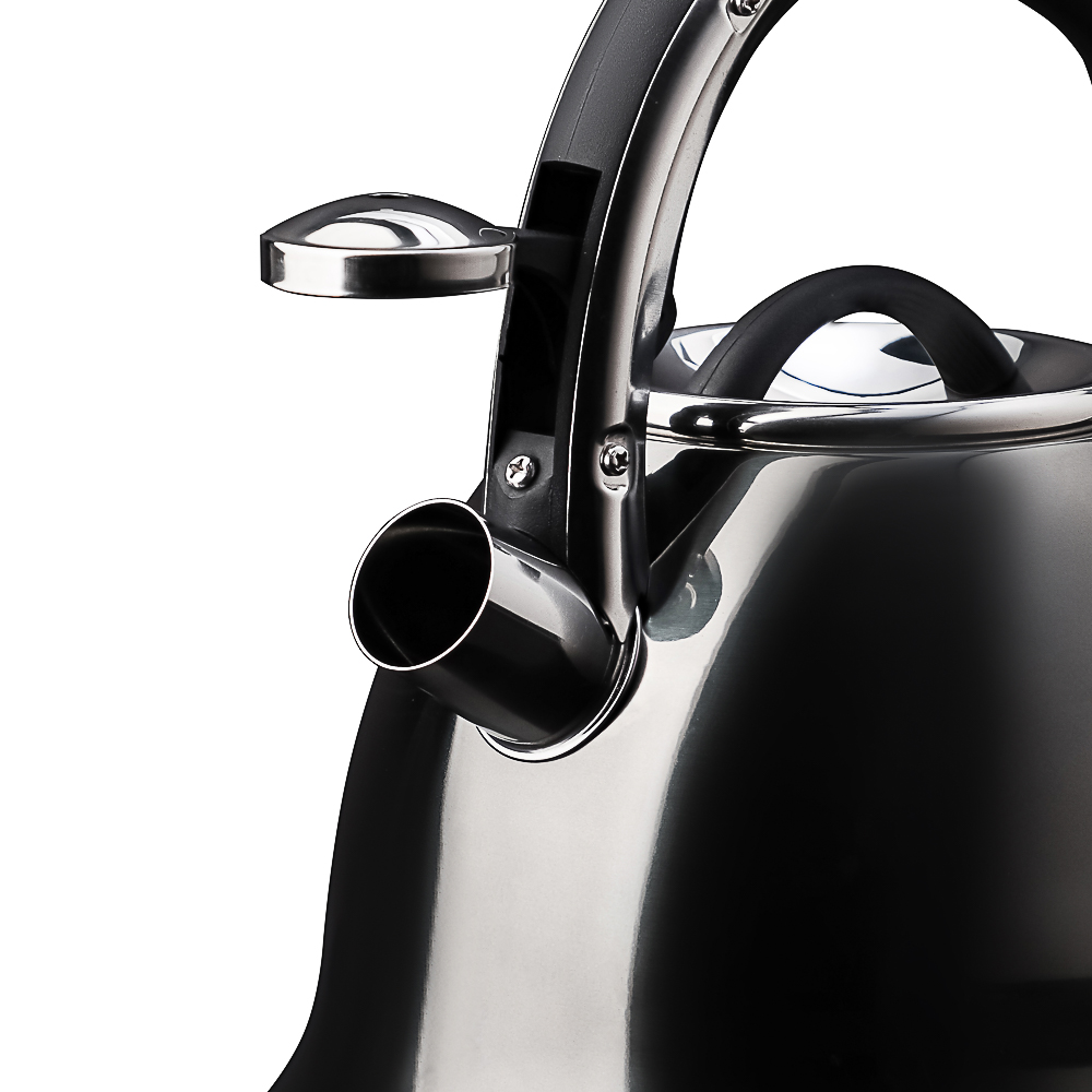 VETTA Чайник стальной 2,6л "Мари", индукция, арт.№ 847-108