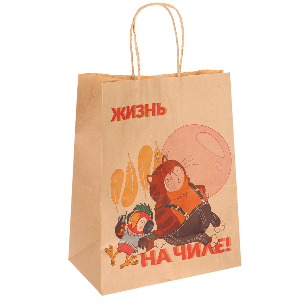 Пакет подарочный с кручеными ручками L 24х14х30см, "Попугай Кеша. На чиле", в ассортименте, арт.№ 507-497