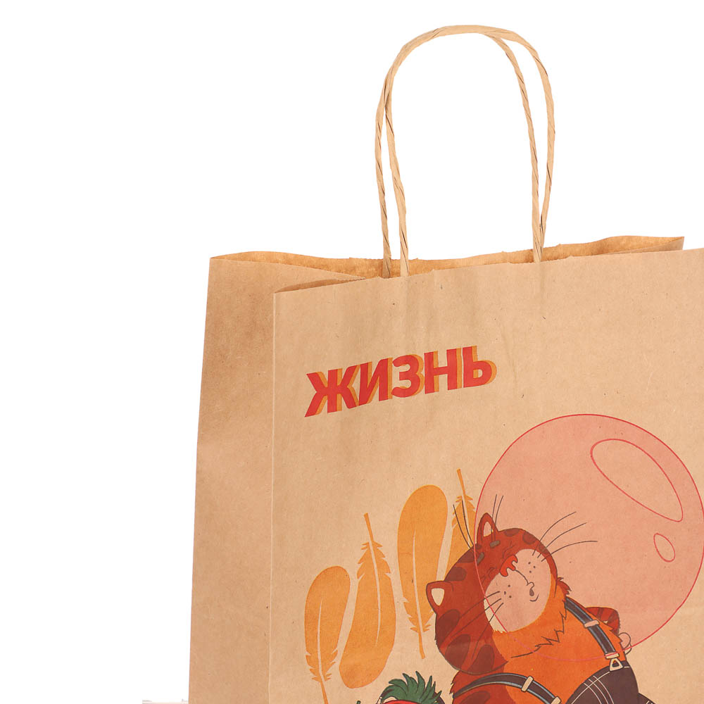 Пакет подарочный с кручеными ручками L 24х14х30см, "Попугай Кеша. На чиле", в ассортименте, арт.№ 507-497