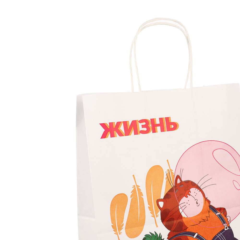 Пакет подарочный с кручеными ручками L 24х14х30см, "Попугай Кеша. На чиле", в ассортименте, арт.№ 507-497